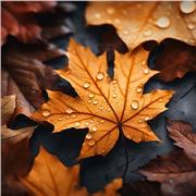 se hai bisogno per aiuto compiti ti aspetto!